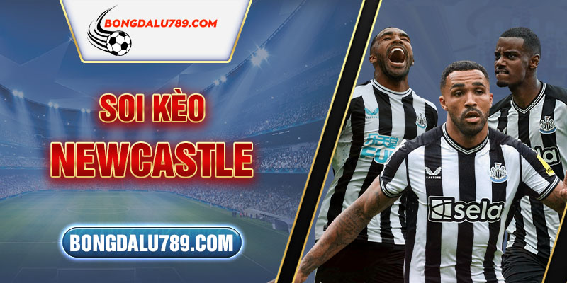 Soi Kèo Newcastle luôn thắng