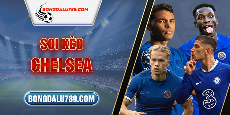 Soi kèo Chelsea: Hướng dẫn chi tiết cho người mới bắt đầu