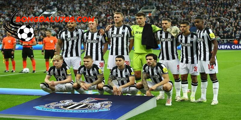 Xác suất chiến thắng của Newcastle trong các kèo cược