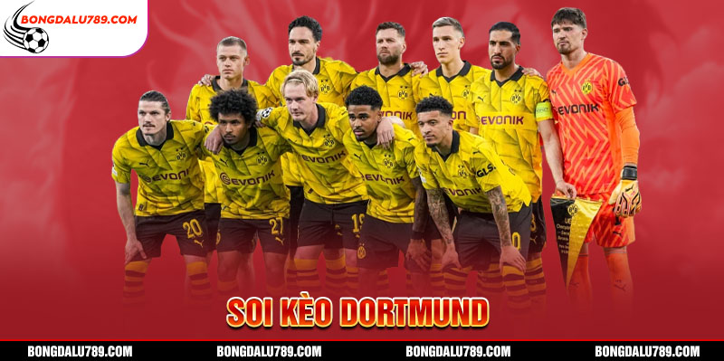 Soi Kèo Dortmund Giúp Nâng Cao Tỷ Lệ Chiến Thắng