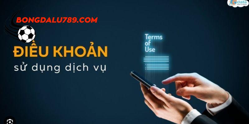 Điều khoản và điều kiện website thuộc quyền sở hữu Bongdalu