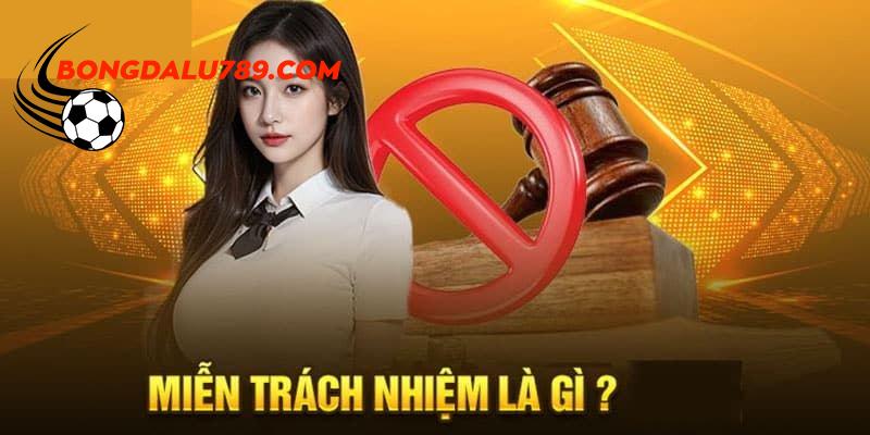 Tìm hiểu tổng quan về quy định miễn trừ trách nhiệm